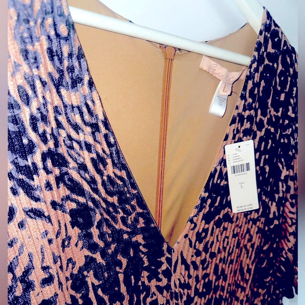 Beautiful Anthropologie dress. Never worn with tags.